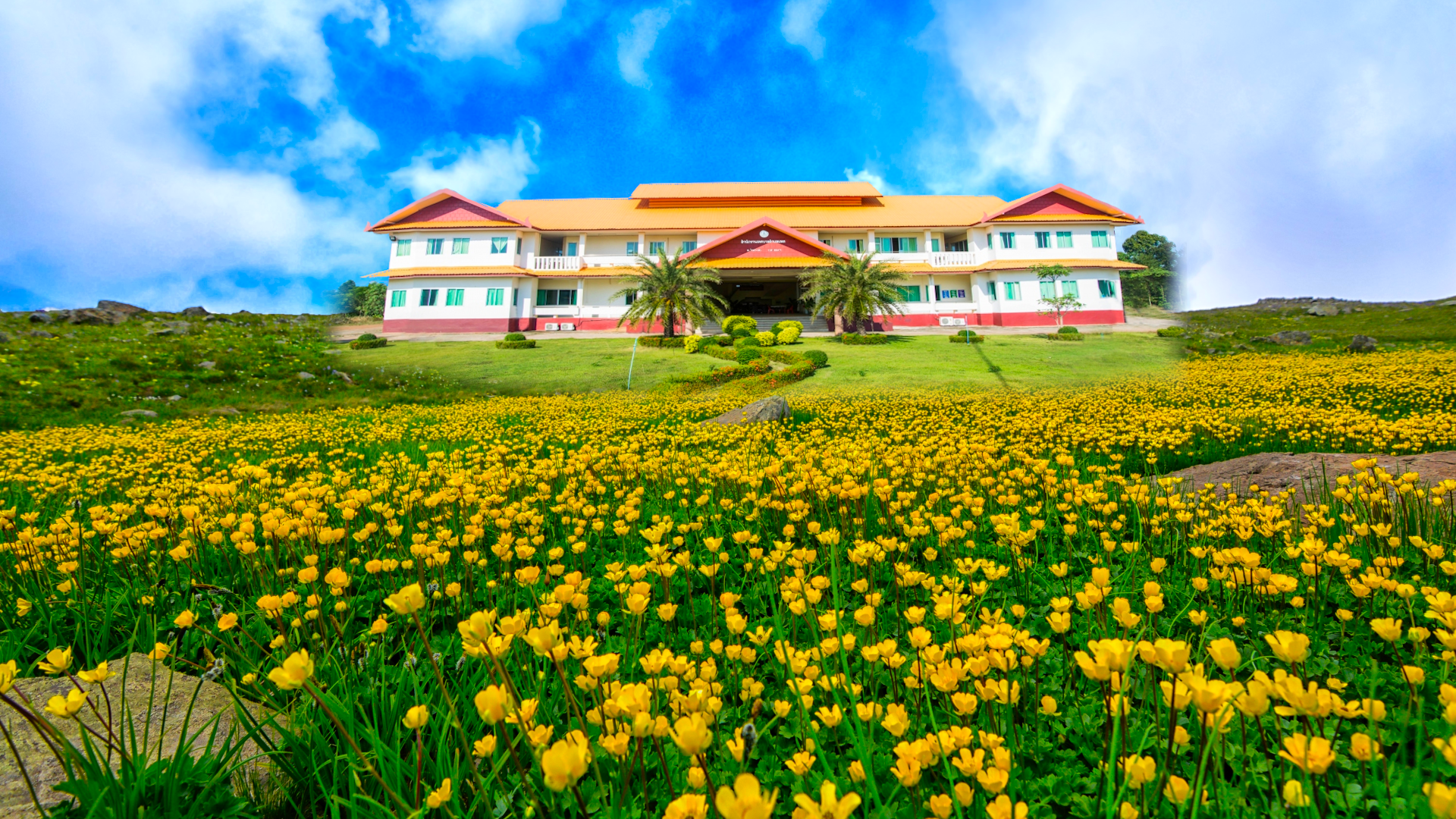 พื้นหลัง